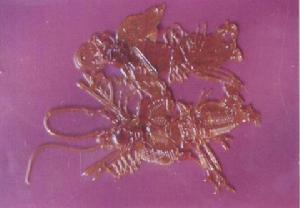 巨龍博物館 巨龍博物館