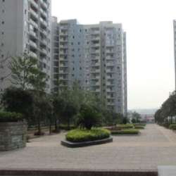 大業集團 大業集團