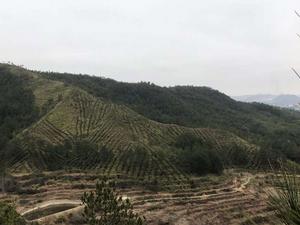 江西省小密鄉 江西省小密鄉