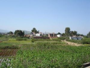 古橋口村 古橋口村