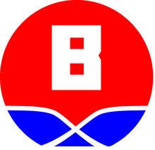 上海博迅實業有限公司