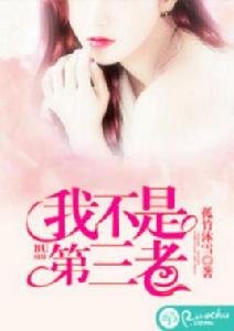 我不是第三者[若初網小說]