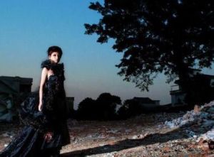 母親的本能 母親的本能