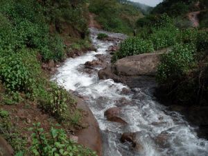 文帕自然村 文帕自然村