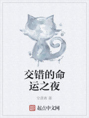 交錯的命運之夜 交錯的命運之夜