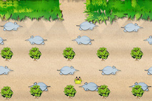 《海綿寶寶生存挑戰》 《海綿寶寶生存挑戰》