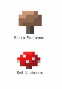蘑菇[Minecraft​的植物]