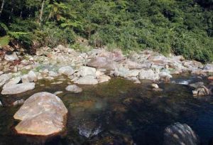 南澳闊葉樹林自然保留區 南澳闊葉樹林自然保留區