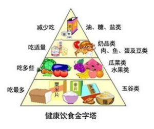 健康飲食金字塔