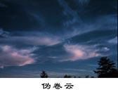 偽捲雲 偽捲雲