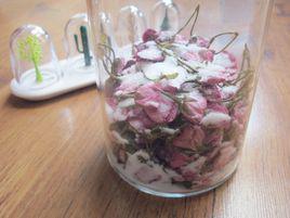 鹽漬櫻花 鹽漬櫻花