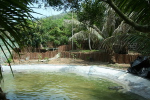 海龜自然保護區