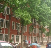 炮局胡同28號院 炮局胡同28號院