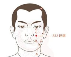 巨髎穴 巨髎穴