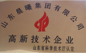 山東晨曦集團有限公司 山東晨曦集團有限公司