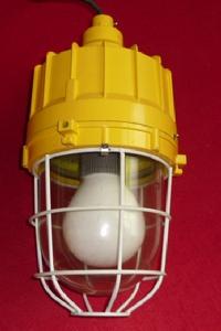 SBD3103防爆無極燈