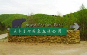 大亮子河國家森林公園