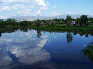 聖泉公園 聖泉公園