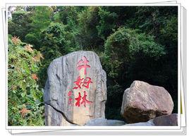 永春牛姆林 永春牛姆林