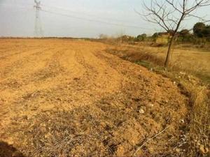 農村土地交易 農村土地交易