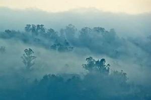 霧靄[氣象現象]