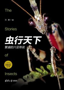 蟲行天下 蟲行天下