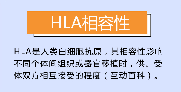 HLA相容性 HLA相容性