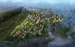 林海雲天 林海雲天