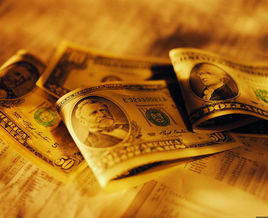 項目投資 項目投資