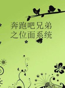 奔跑吧兄弟之位面系統 奔跑吧兄弟之位面系統