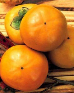 王村紅柿 王村紅柿