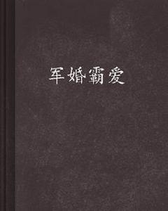 軍婚霸愛 軍婚霸愛