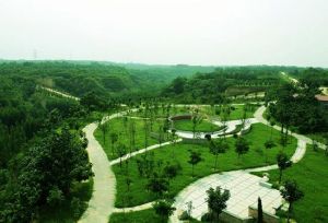 鄭州龍西湖文博森林公園