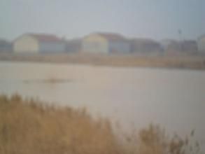 孫莊子村 孫莊子村