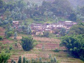 瓦龍村[雲南省紅河州綠春縣大興鎮瓦龍村]
