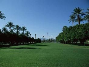 綠色廣場 綠色廣場