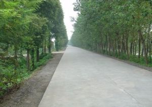 新路坡村 新路坡村