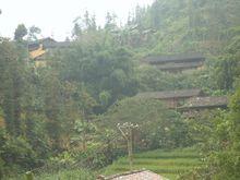 蒿芝壩村的村莊一角