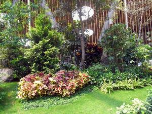 亞熱帶植物區一隅