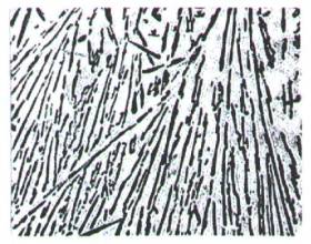 變質處理 變質處理