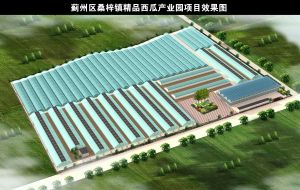 桑梓鎮精品西瓜產業園