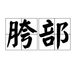 胯部 胯部