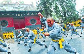 中國鄭州少林國際武術節 中國鄭州少林國際武術節