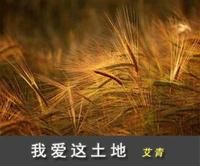 《我愛這土地》