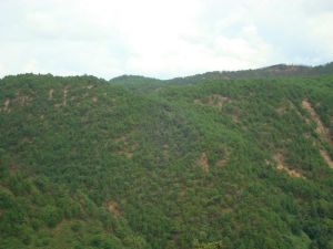 上大地自然村 上大地自然村