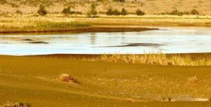 克里雅河達里雅博依風景河段 克里雅河達里雅博依風景河段