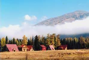 新加坡瓊崖何氏公會