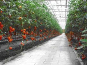 蕭山區農業技術學校 蕭山區農業技術學校