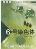 6號染色體 6號染色體