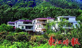 羅坑村[江西省贛縣茅店鎮羅坑村]